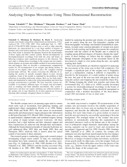 Analyzing Octopus Movements Using Three