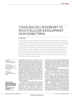 coupling cell movement to multicellular development in myxobacteria