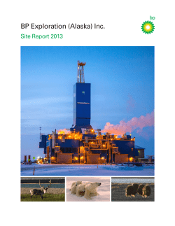 BP Exploration (Alaska) Inc.