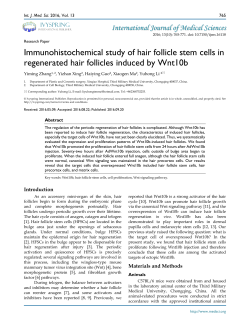 Immunohistochemical study of hair follicle stem cells in regenerated
