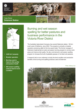 Delamere - FutureBeef