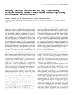Mapping Continued Brain Growth and Gray