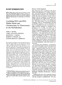 in situ hybridization - UMass Medical School