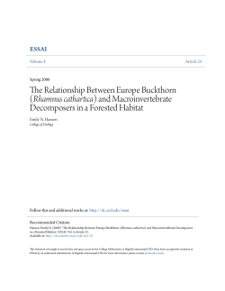 The Relationship Between Europe Buckthorn (Rhamnus cathartica