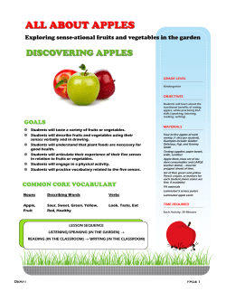 All About Apples Kindergarten - Project Eat