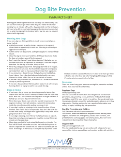 Dog Bite Prevention