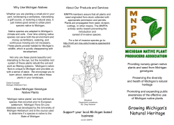 Michigan Native Plant Producers Association trifold brochure