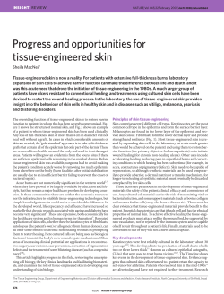 Progress and opportunities for tissue-engineered skin
