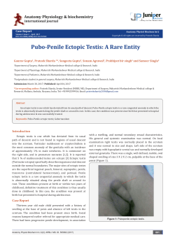 Pubo-Penile Ectopic Testis: A Rare Entity