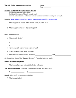 Cell Cycle Computer Activity