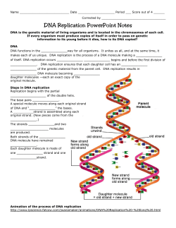 DNA Replication PowerPoint Notes