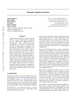 Dynamic Capacity Networks