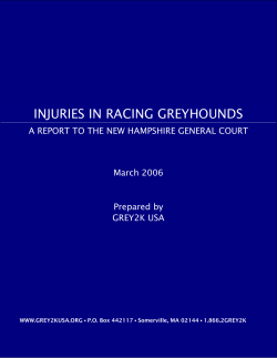 injuries in racing greyhounds