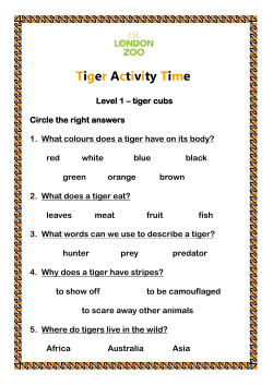 Tiger Activity Time