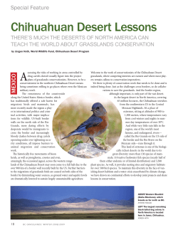Chihuahuan Desert Lessons - Saskatchewan Prairie Conservation