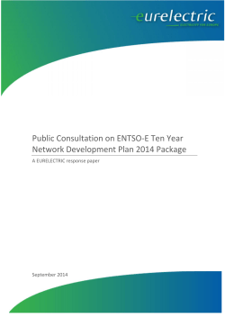 Public Consultation on ENTSO-E Ten Year Network