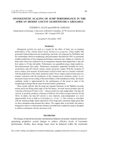 J. exp. Biol. 177, 81&ndash;111 - The Company of Biologists
