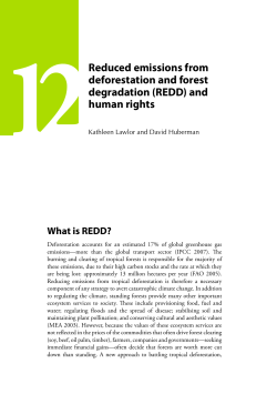 (REDD) and human rights