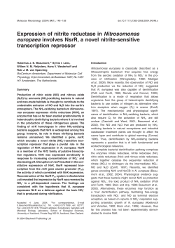 Expression of nitrite reductase in Nitrosomonas europaea involves