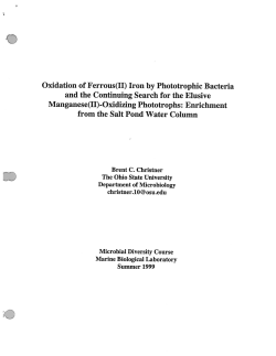 Iron by Phototrophic Bacteria and the Continuing Search for the