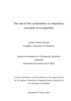 The role of the cytoskeleton in respiratory syncytial virus assembly