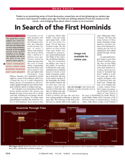 In Search of the First Hominids