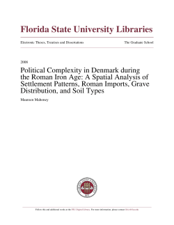 Political Complexity in Denmark during the Roman Iron