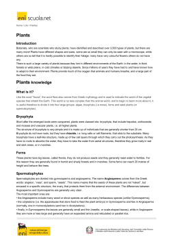 "Plants" pdf file