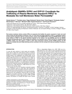 Arabidopsis SNAREs SYP61 and SYP121