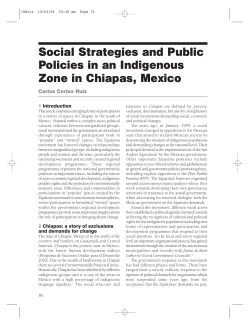 Social Strategies and Public Policies in an Indigenous Zone in