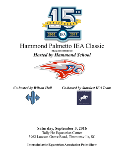 Hammond Palmetto IEA Classic