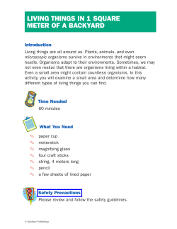 living things in 1 square meter of a backyard