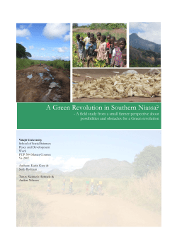A Green Revolution in Southern Niassa?