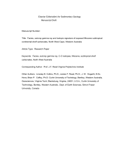 19202_downloaded_stream_294