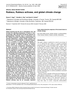 Rubisco, Rubisco activase, and global climate change