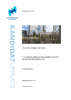 Terrorism, Religion and Race: A Comparison Between John