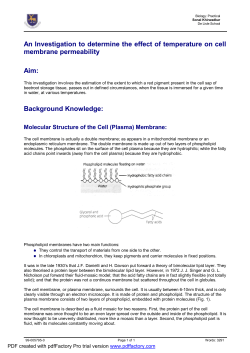 An Investigation to determine the effect of temperature on cell