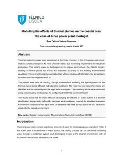 Modelling the effects of thermal plumes on the