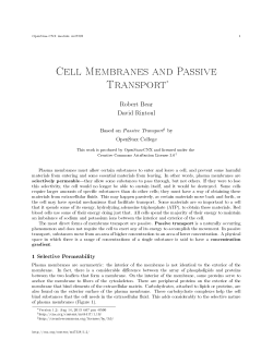 Cell Membranes and Passive Transport