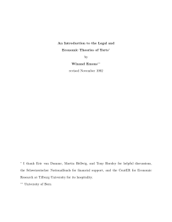 An Introduction to the Legal and Economic Theories of Torts
