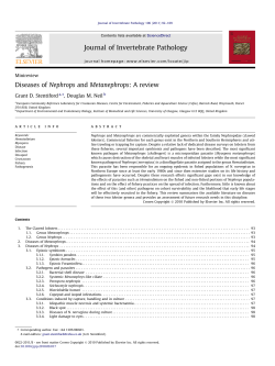 (2011). Diseases of Nephrops and Metanephrops: a review. Journal