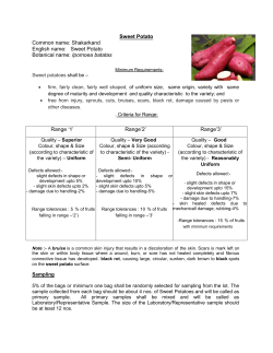 Sweet Potato Common name: Shakarkand English name