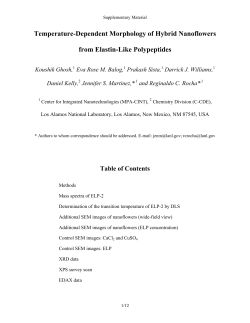 Temperature-Dependent Morphology of Hybrid