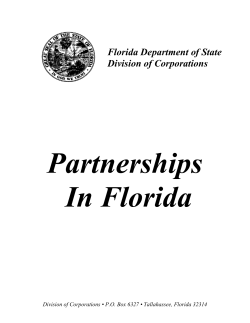 Partnerships in Florida