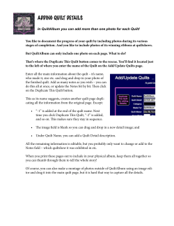 Duplicating Quilts to Add Details