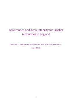 Governance and Accountability for Smaller Authorities in England