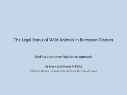 The Legal Status of Wild Animals in European Circuses