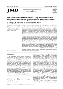 The Incoherent Feed-forward Loop Accelerates the Response