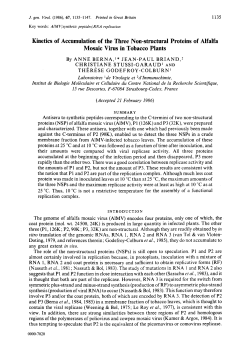 Kinetics of Accumulation of the Three Non