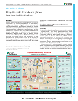 Ubiquitin chain diversity at a glance - Journal of Cell Science